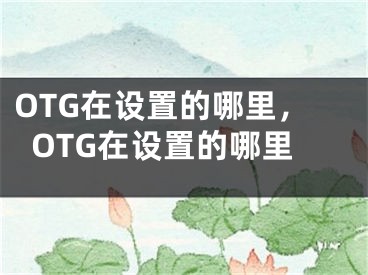 OTG在设置的哪里，OTG在设置的哪里