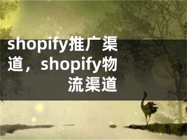 shopify推广渠道，shopify物流渠道