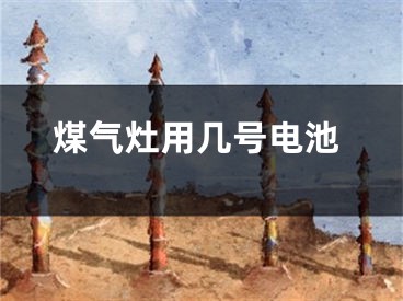 煤气灶用几号电池