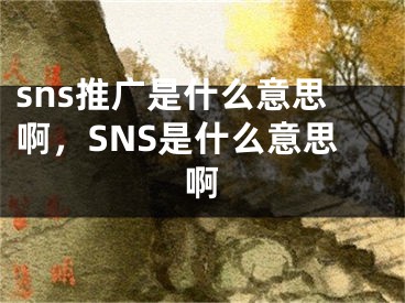 sns推广是什么意思啊，SNS是什么意思啊