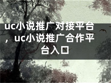 uc小说推广对接平台，uc小说推广合作平台入口