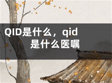 QID是什么，qid是什么医嘱