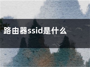 路由器ssid是什么