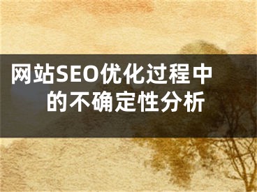 网站SEO优化过程中的不确定性分析