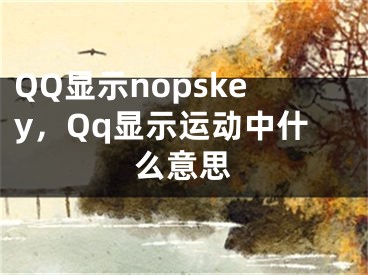 QQ显示nopskey，Qq显示运动中什么意思