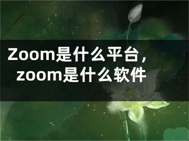 Zoom是什么平台，zoom是什么软件