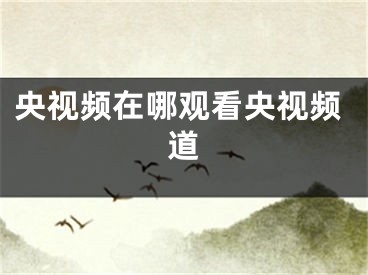 央视频在哪观看央视频道