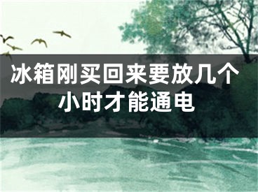 冰箱刚买回来要放几个小时才能通电