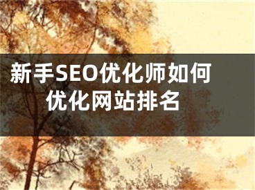 新手SEO优化师如何优化网站排名  