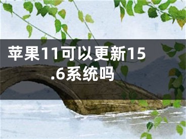 苹果11可以更新15.6系统吗