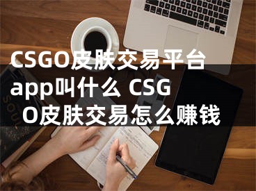 CSGO皮肤交易平台app叫什么 CSGO皮肤交易怎么赚钱