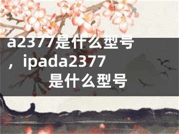 a2377是什么型号，ipada2377是什么型号