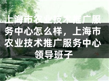 上海市农业技术推广服务中心怎么样，上海市农业技术推广服务中心领导班子 