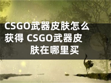 CSGO武器皮肤怎么获得 CSGO武器皮肤在哪里买