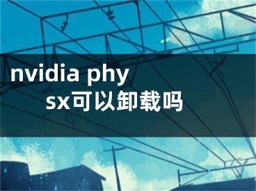 nvidia physx可以卸载吗