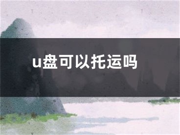 u盘可以托运吗