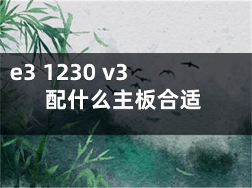 e3 1230 v3配什么主板合适