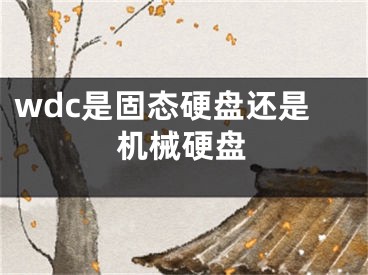 wdc是固态硬盘还是机械硬盘