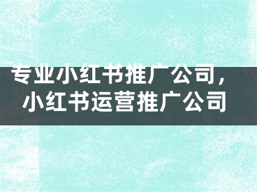 专业小红书推广公司，小红书运营推广公司