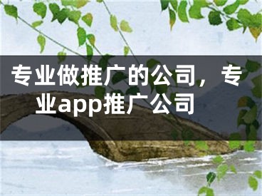 专业做推广的公司，专业app推广公司