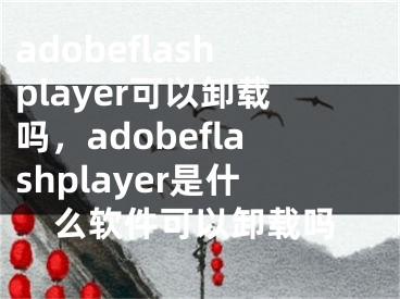 adobeflashplayer可以卸载吗，adobeflashplayer是什么软件可以卸载吗