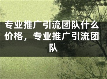 专业推广引流团队什么价格，专业推广引流团队