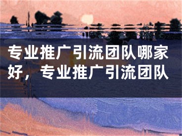 专业推广引流团队哪家好，专业推广引流团队