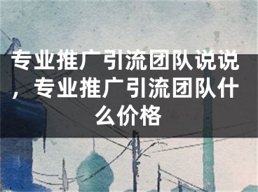 专业推广引流团队说说，专业推广引流团队什么价格