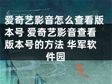 爱奇艺影音怎么查看版本号 爱奇艺影音查看版本号的方法 华军软件园