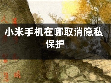 小米手机在哪取消隐私保护