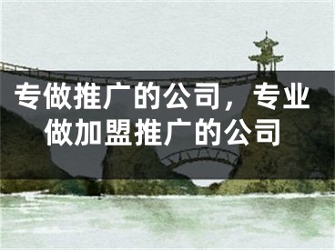 专做推广的公司，专业做加盟推广的公司