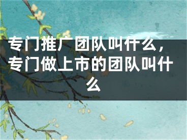 专门推广团队叫什么，专门做上市的团队叫什么