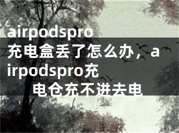 airpodspro充电盒丢了怎么办，airpodspro充电仓充不进去电