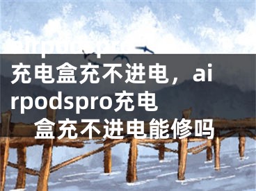 airpodspro充电盒充不进电，airpodspro充电盒充不进电能修吗