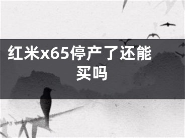 红米x65停产了还能买吗