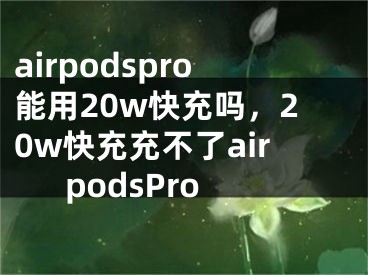 airpodspro能用20w快充吗，20w快充充不了airpodsPro