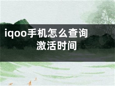 iqoo手机怎么查询激活时间