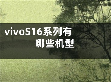 vivoS16系列有哪些机型