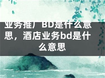 业务推广BD是什么意思，酒店业务bd是什么意思