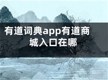 有道词典app有道商城入口在哪