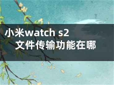 小米watch s2文件传输功能在哪