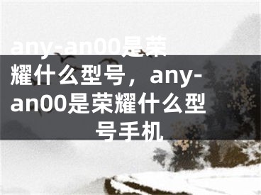 any-an00是荣耀什么型号，any-an00是荣耀什么型号手机