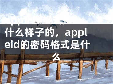 appleid格式是什么样子的，appleid的密码格式是什么