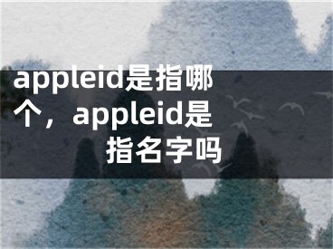 appleid是指哪个，appleid是指名字吗