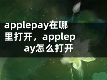 applepay在哪里打开，applepay怎么打开