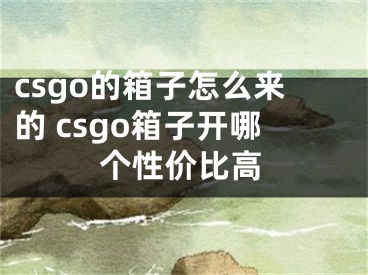 csgo的箱子怎么来的 csgo箱子开哪个性价比高