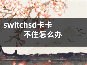 switchsd卡卡不住怎么办