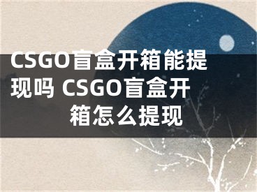 CSGO盲盒开箱能提现吗 CSGO盲盒开箱怎么提现