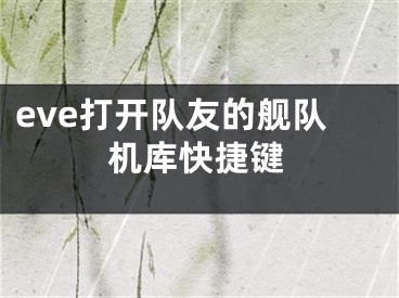 eve打开队友的舰队机库快捷键