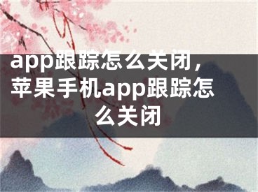 app跟踪怎么关闭，苹果手机app跟踪怎么关闭